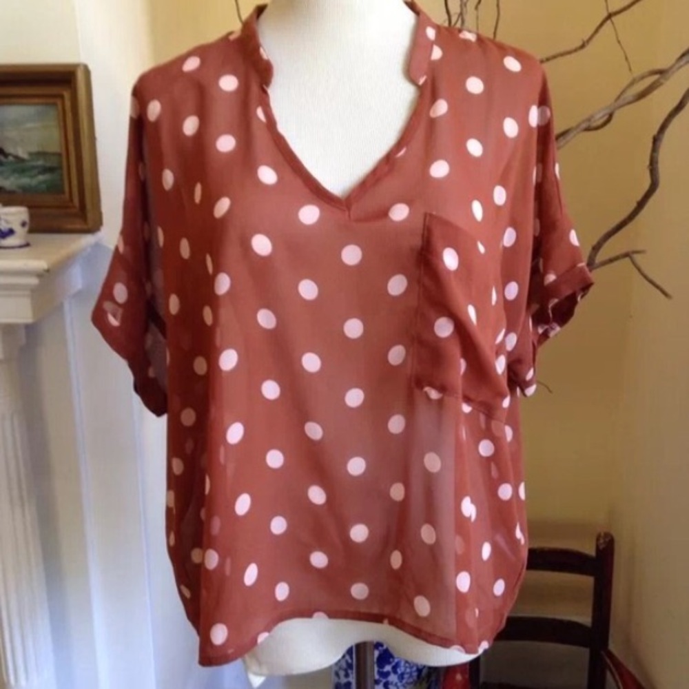 Anthropologie Brown Polka Dot Top